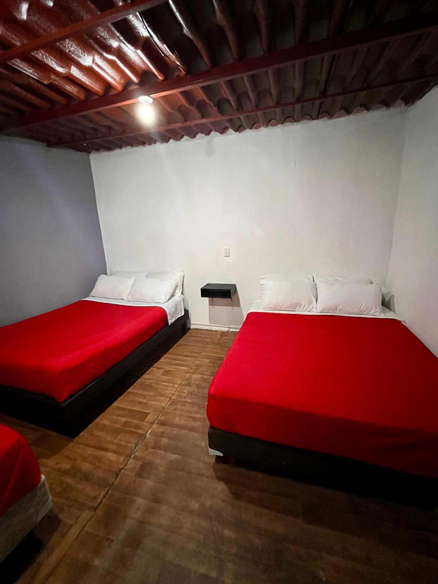 Casita Del Arbol Mexico